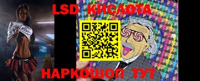 молекула духа Будённовск