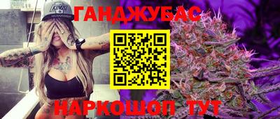 молекула духа Будённовск