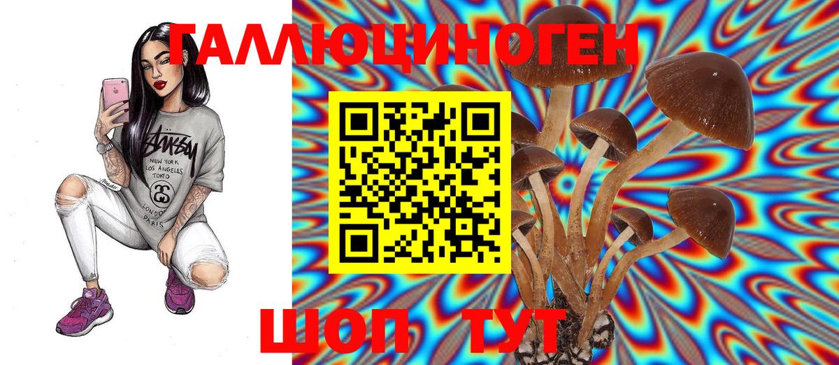 Псилоцибиновые грибы мухоморы Рязань