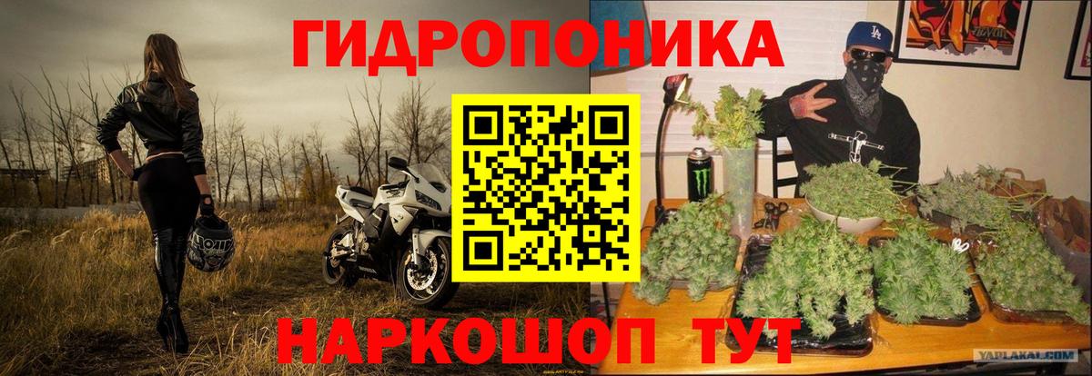 Шишки марихуана гибрид Рязань